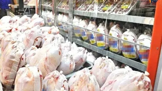 راهکار تنظیم بازار مرغ و خروج مرغداران از زیان چیست