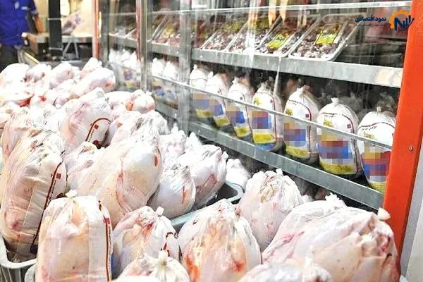 راهکار تنظیم بازار مرغ و خروج مرغداران از زیان چیست