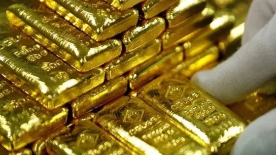 قیمت طلا و سکه امروز ۲۹ شهریور؛ سکه در مرز ۲۴۰ میلیون تومان