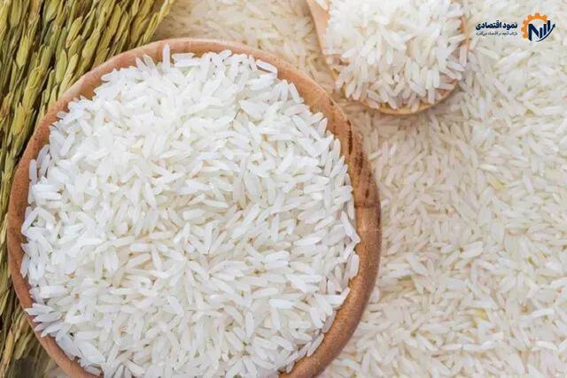 قیمت برنج ایرانی بالا می‌رود، اما کشاورزان همچنان گلایه‌مندند!