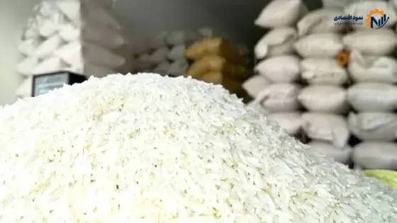 افزایش ۱۶ درصدی تولید برنج نتوانست قیمت‌ها را کاهش دهد