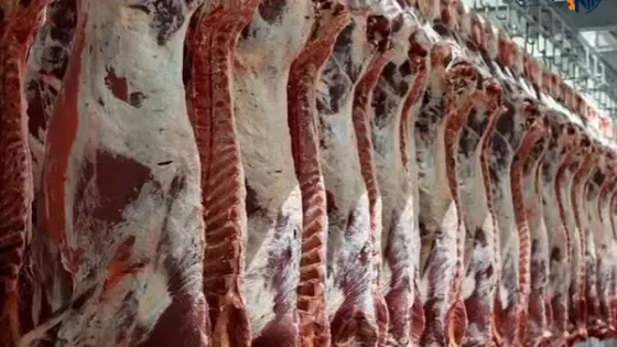 افزایش عرضه گوشت گرم و منجمد با آغاز پاییز