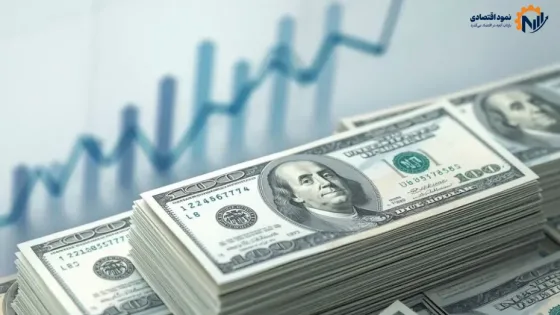 معمای وام‌های ارزی برای کالاهای اساسی؛ تاوان نوسانات نرخ ارز با کیست؟