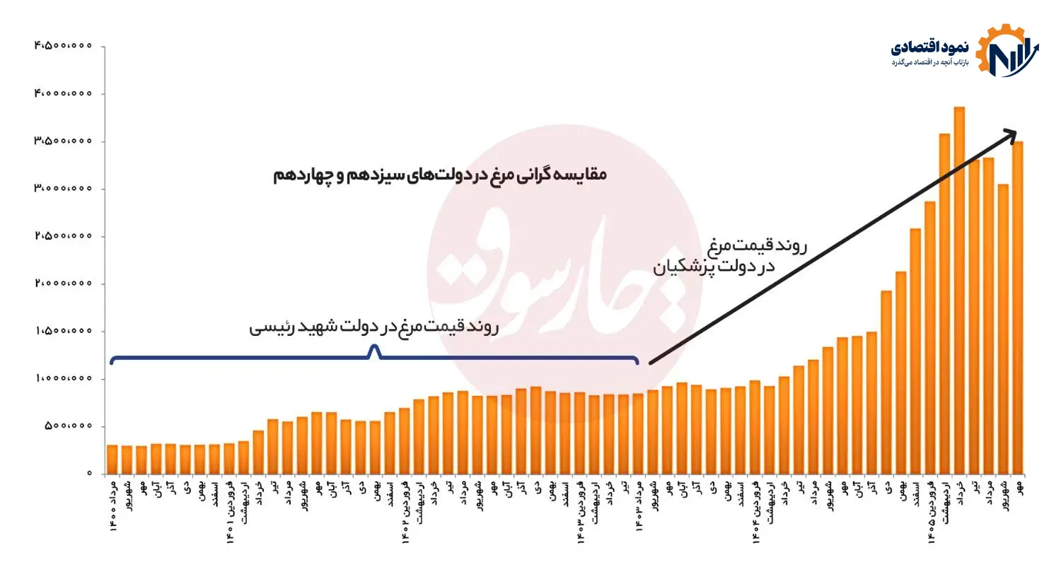 مرغ نماد ناکارآمدی نوری قزلجه 2 590 1 2